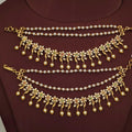 Flower Design Multi color Stones Ear Chains.